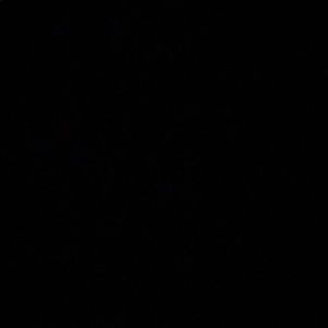 Meet your Posher, Isabela